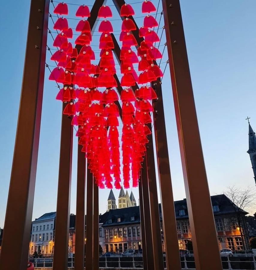 Les Chambres Atypiques De Nico Bush - Parking Securise Velos Tournai Exteriör bild